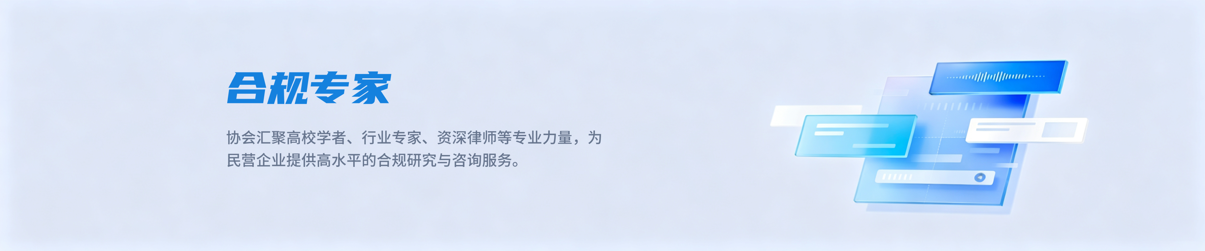 合规专家